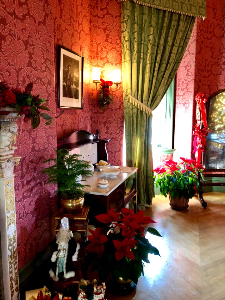 Damask Room, Biltmore House, Biltmore Estate, Asheville, N… 
