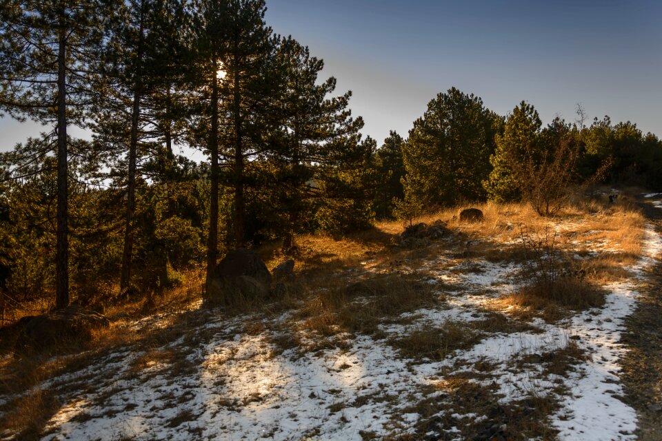 Winter nature cold