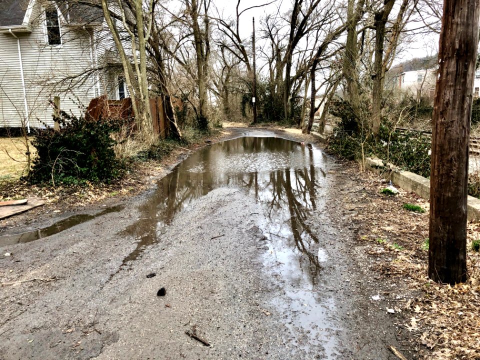 Puddle, Greenwood Terrace, Linwood, Cincinnati, OH 