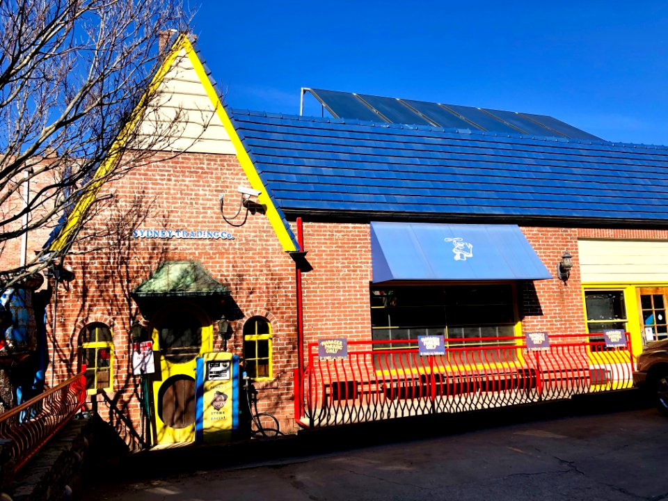 The Mellow Mushroom, Asheville, NC 