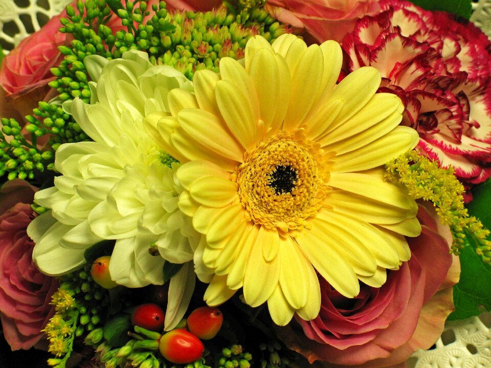 Flowers decorative roses