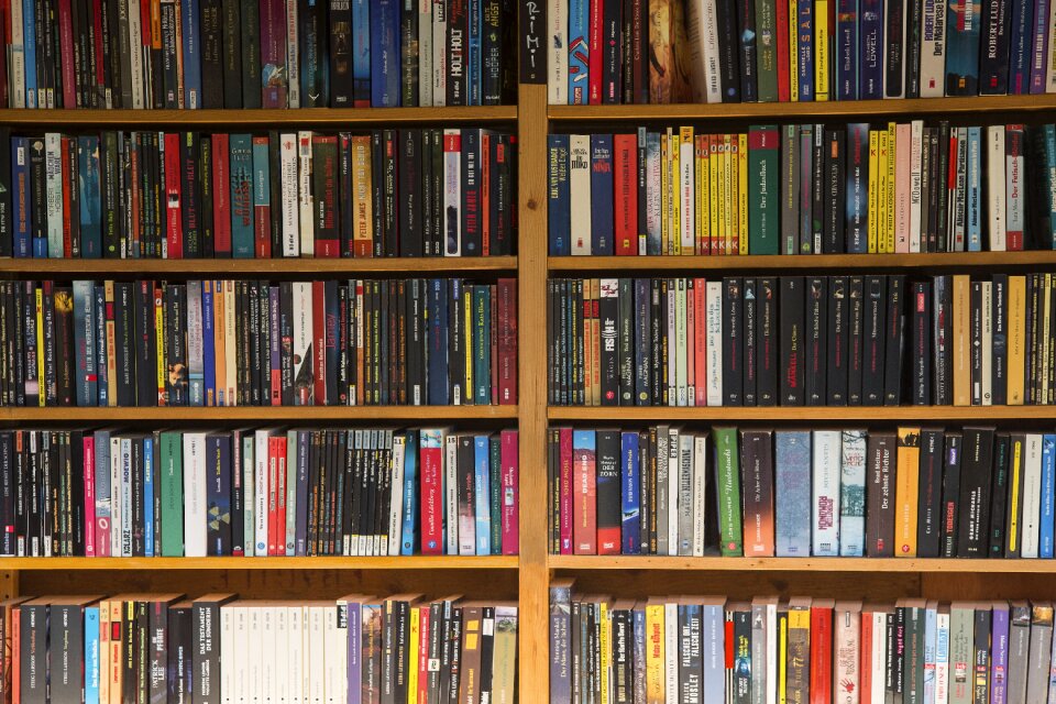 Used books bookshelf read