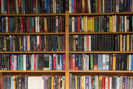 Used books bookshelf read