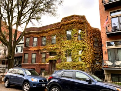 North Wilton Avenue, Lakeview, Chicago, IL 