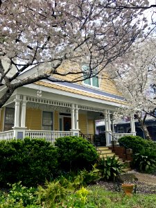 Waddell Street, Inman Park, Atlanta, GA 
