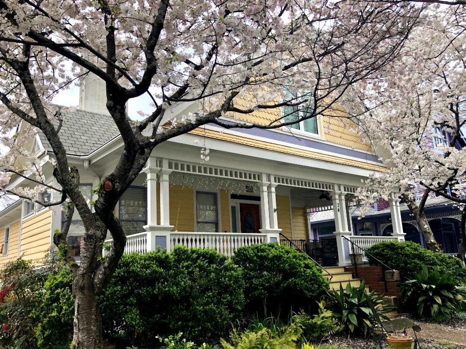 Waddell Street, Inman Park, Atlanta, GA 