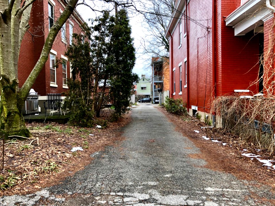 Blum Alley, Northside, Cincinnati, OH 