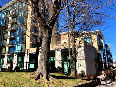 Thomas Wolfe Plaza, Asheville, NC 