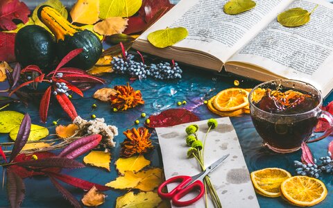 Book leaves color