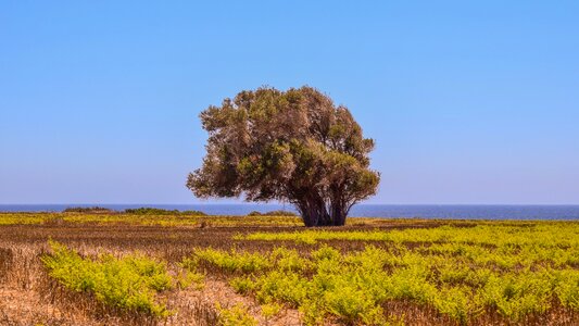Horizon mediterranean nature
