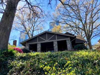 Piedmont Avenue, Midtown, Atlanta, GA 