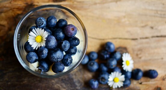 Fruits blue berries photo