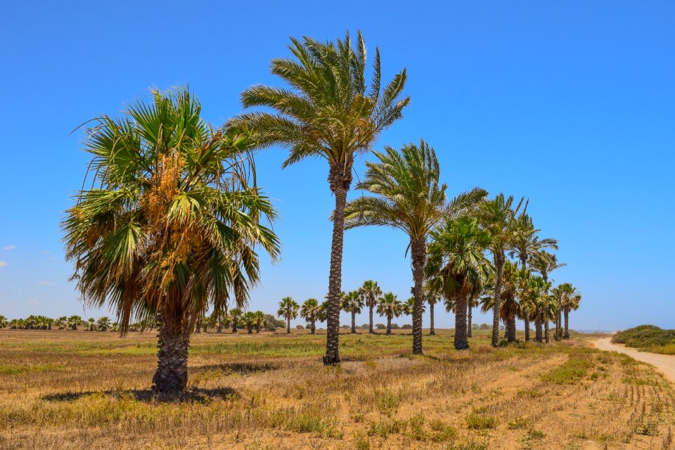 Nature island countryside