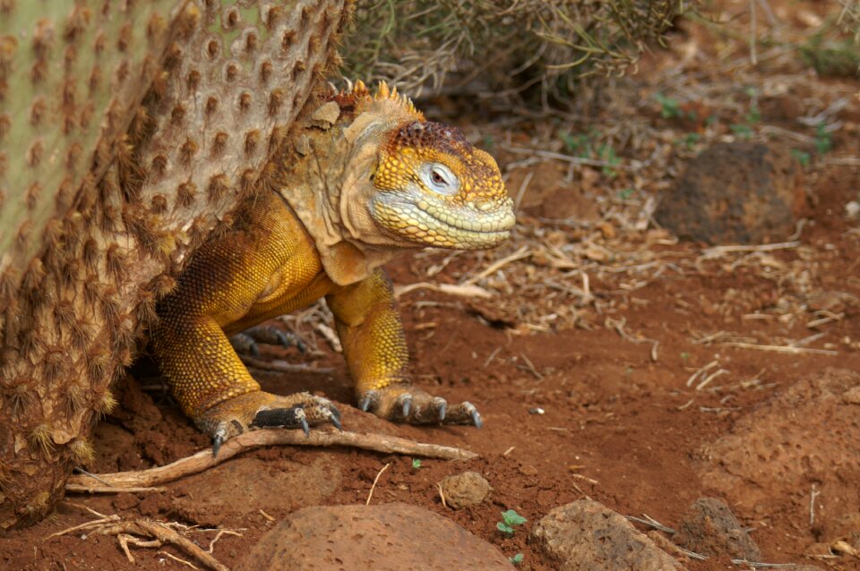 Ecuador travel nature