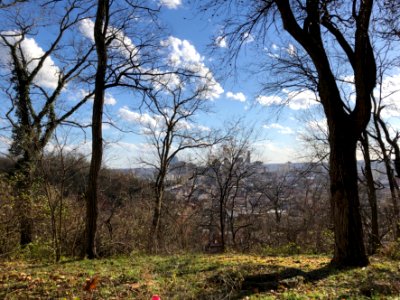 Elysian Place, CUF, Cincinnati, OH 
