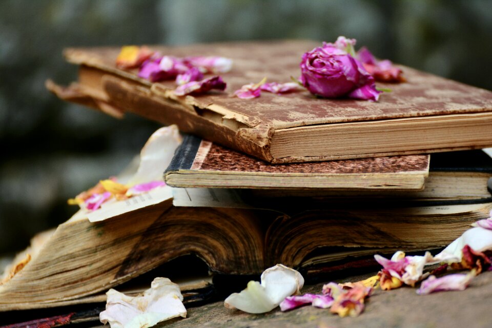 Used used books antiquarian