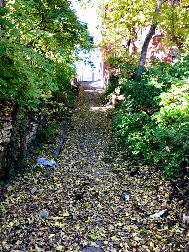 Pitt Alley, CUF, Cincinnati, OH 