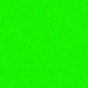 Environmentally sustainable sustainability grass