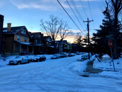 Terrace Avenue, Clifton, Cincinnati, OH 