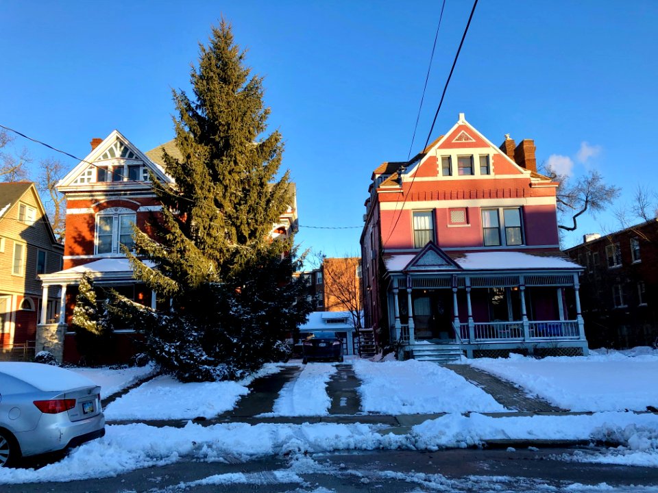 Whitfield Avenue, Clifton, Cincinnati, OH 
