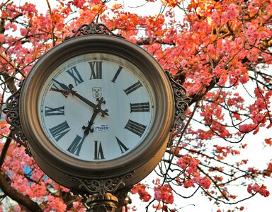 Time of time digits