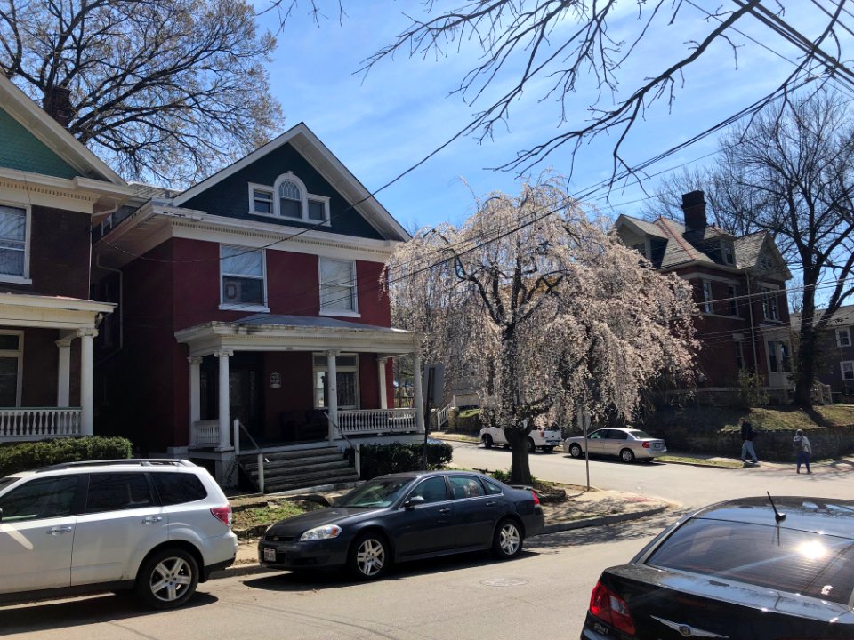 Bishop Street, Corryville, Cincinnati, OH 