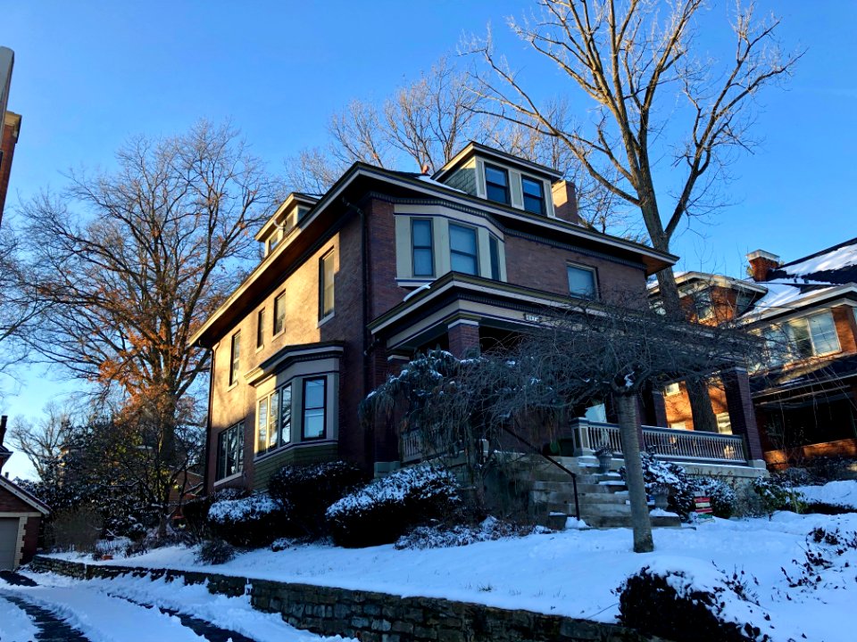 Whitfield Avenue, Clifton, Cincinnati, OH 