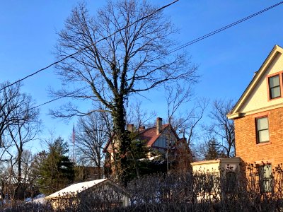Lyleburn Place, Clifton, Cincinnati, OH 