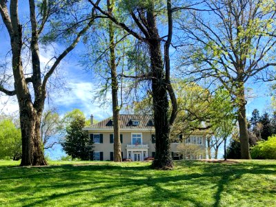 Lafayette Avenue, Clifton, Cincinnati, OH 