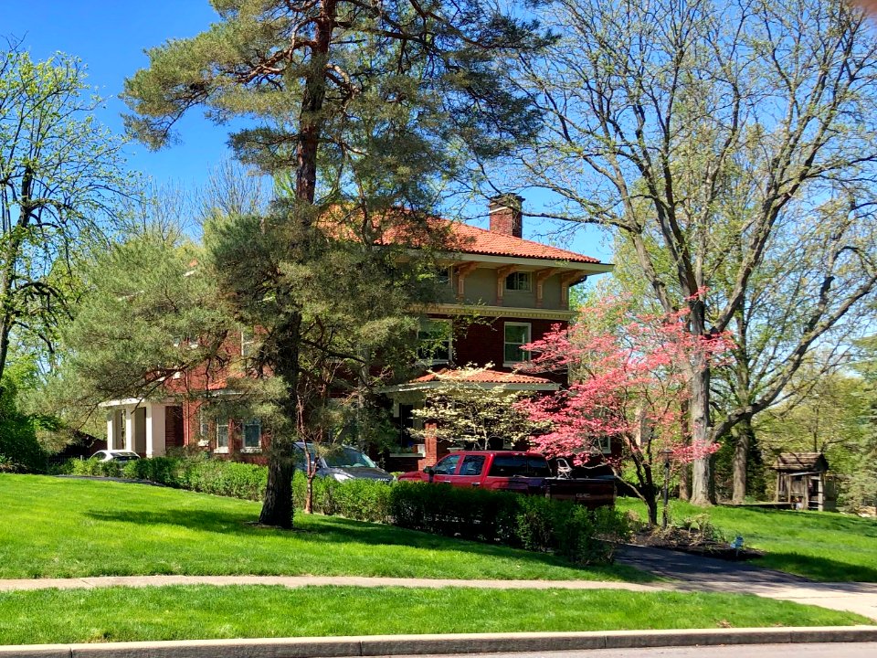 Rose Hill Avenue, North Avondale, Cincinnati, OH 