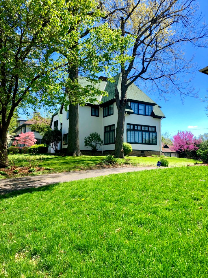 Betula Avenue, North Avondale, Cincinnati, OH 