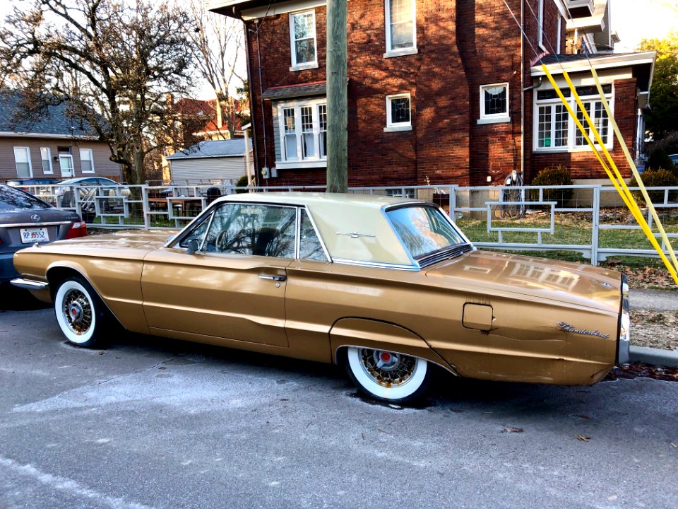 1966 Ford Thunderbird, Larch Avenue, College Hill, Cincinn… 