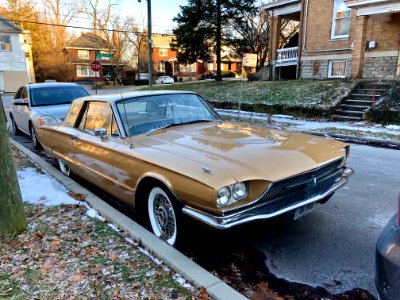 1966 Ford Thunderbird, Larch Avenue, College Hill, Cincinn… 