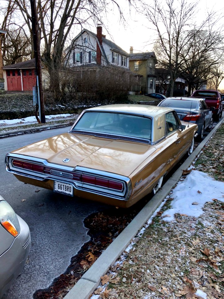 1966 Ford Thunderbird, Larch Avenue, College Hill, Cincinn… 