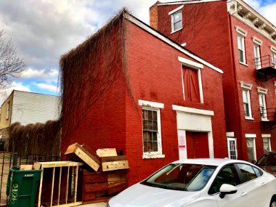 Hughes Street, Over-the-Rhine, Cincinnati, OH photo