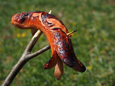 Sausage grill sizzle
