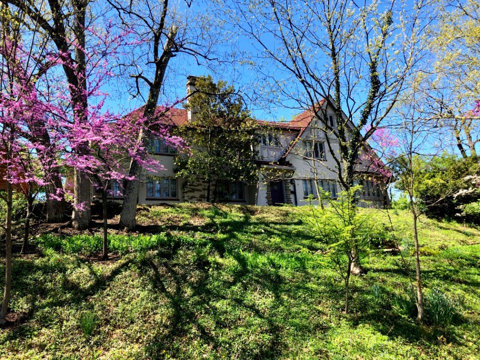 Red Bud Avenue, North Avondale, Cincinnati, OH 