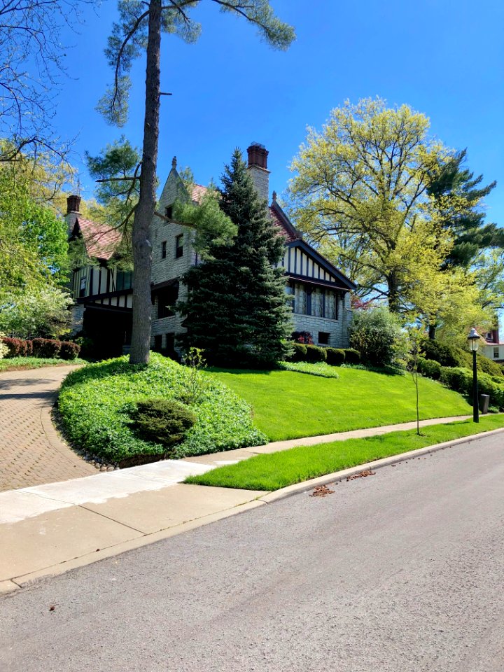 Betula Avenue, North Avondale, Cincinnati, OH 