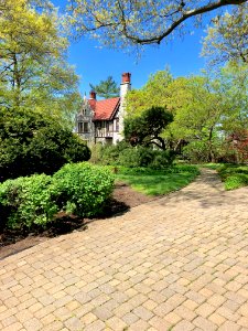 Betula Avenue, North Avondale, Cincinnati, OH 