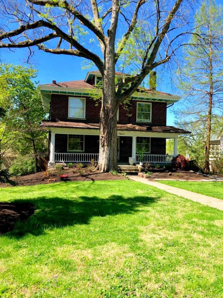 Beechwood Avenue, North Avondale, Cincinnati, OH 