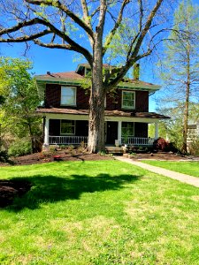 Beechwood Avenue, North Avondale, Cincinnati, OH 