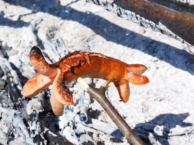 Sausage grill sizzle photo