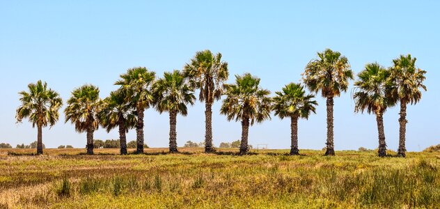Nature island countryside