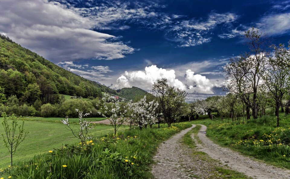 Spring nature landscape