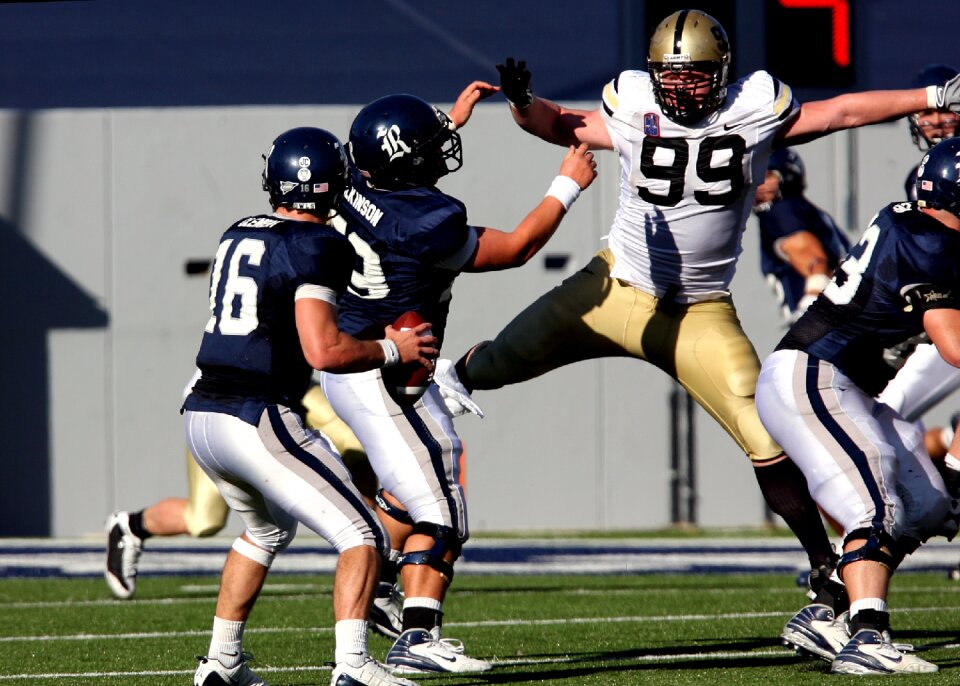 Ball carrier sport ball