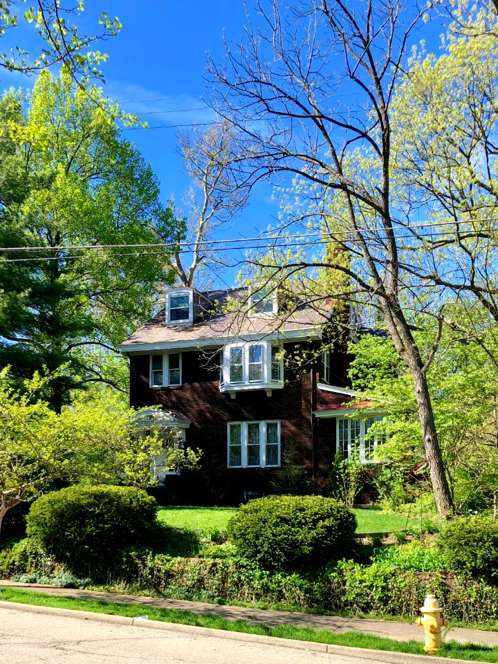 Warren Avenue, Clifton, Cincinnati, OH 