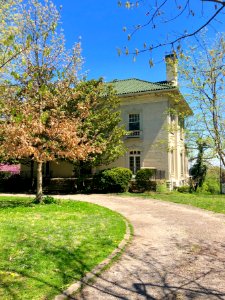 Rose Hill Avenue, North Avondale, Cincinnati, OH 