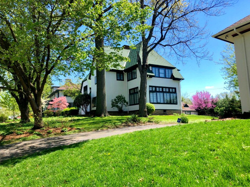 Betula Avenue, North Avondale, Cincinnati, OH 