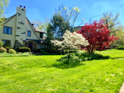 Avon Fields Place, North Avondale, Cincinnati, OH 
