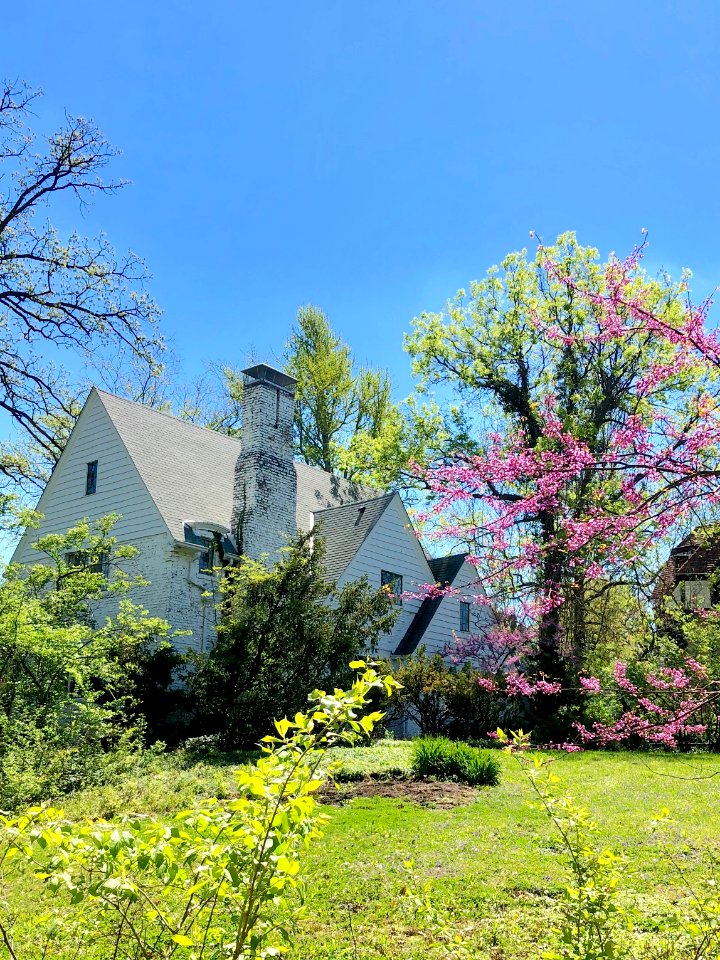 Rose Hill Avenue, North Avondale, Cincinnati, OH 
